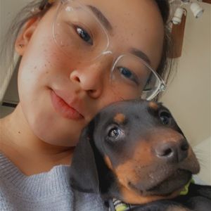 Meet your Posher, Shiny